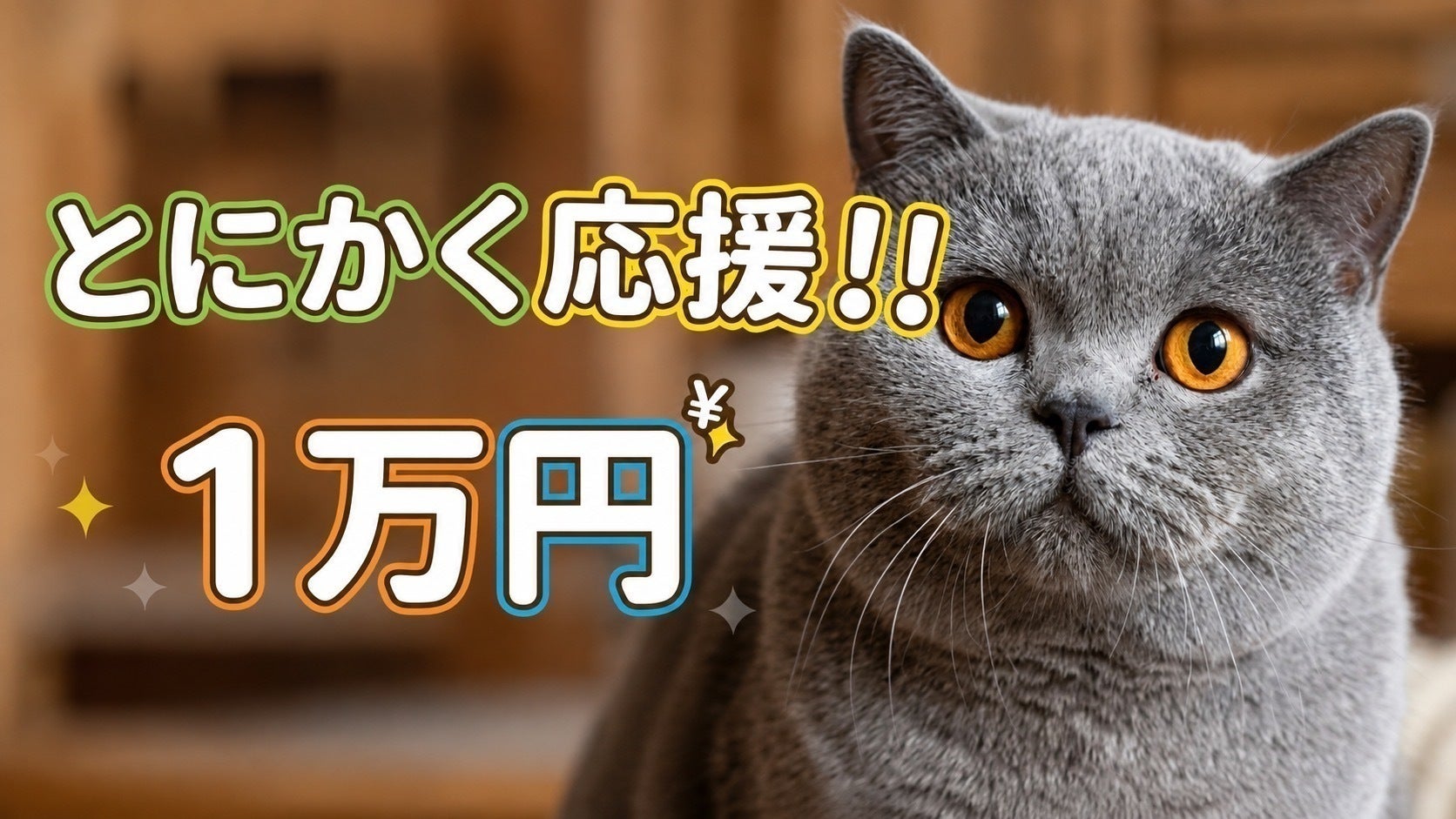 リターン画像