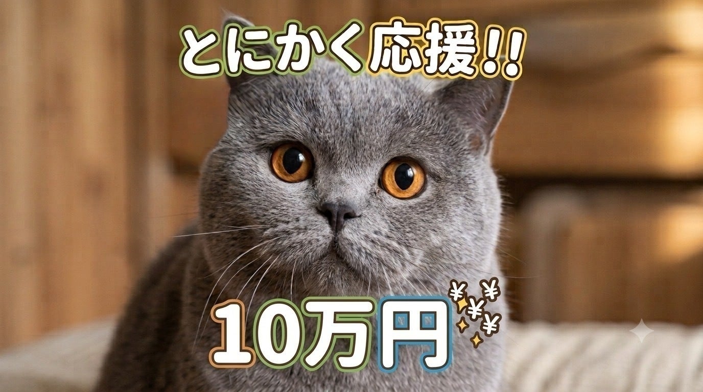 リターン画像