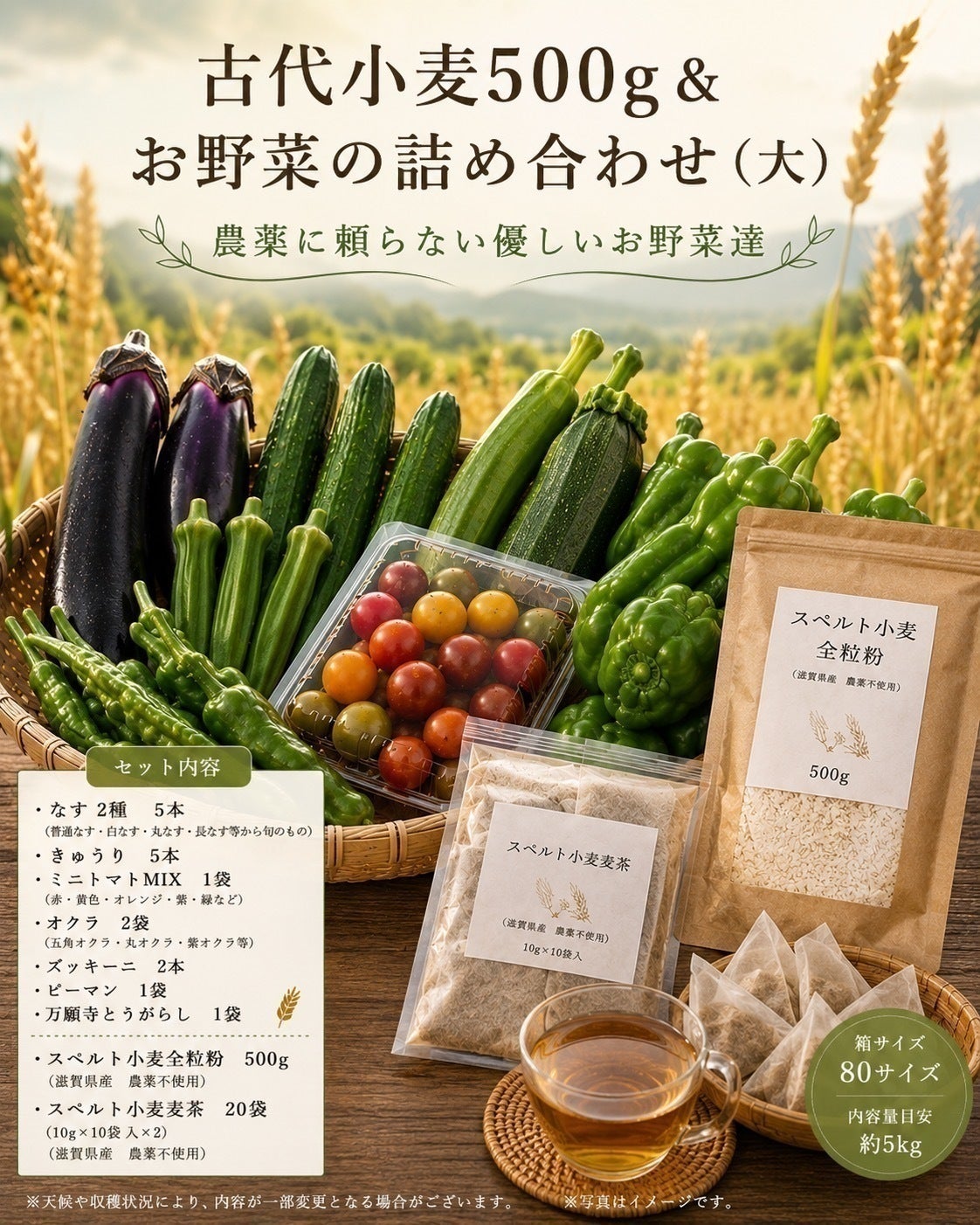 リターン画像