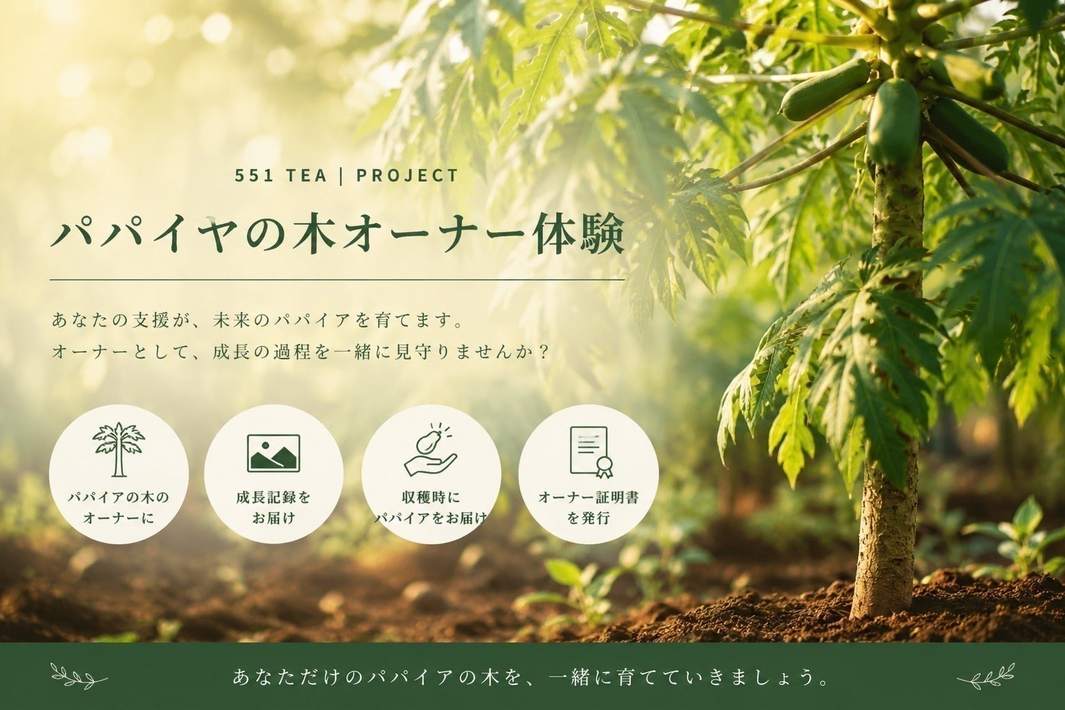 リターン画像