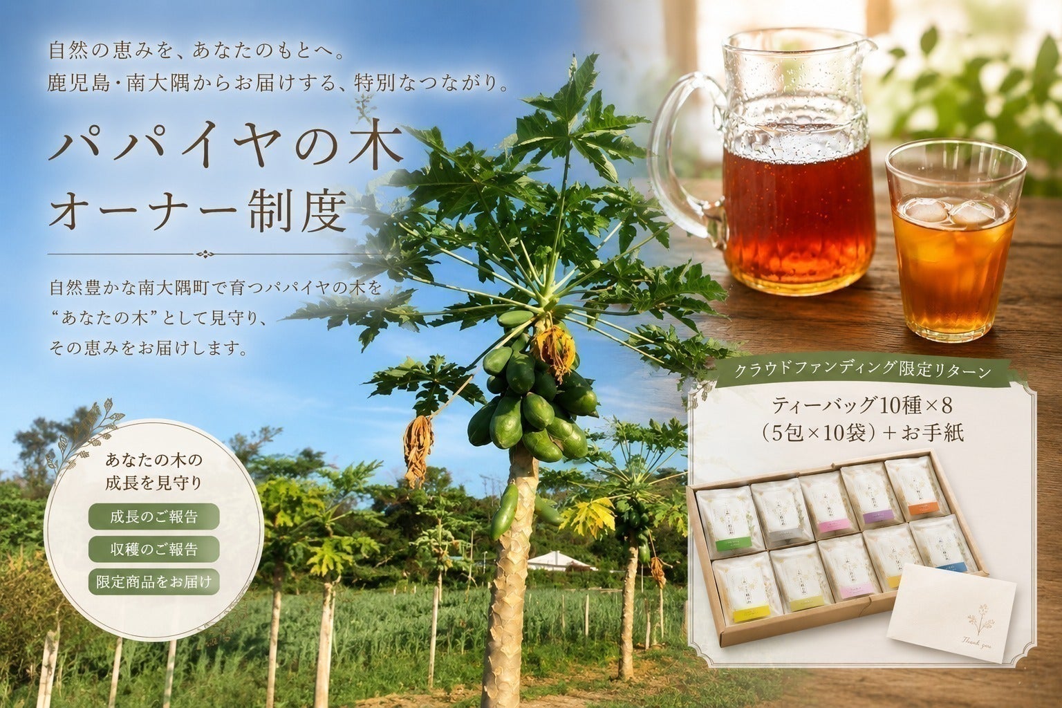リターン画像