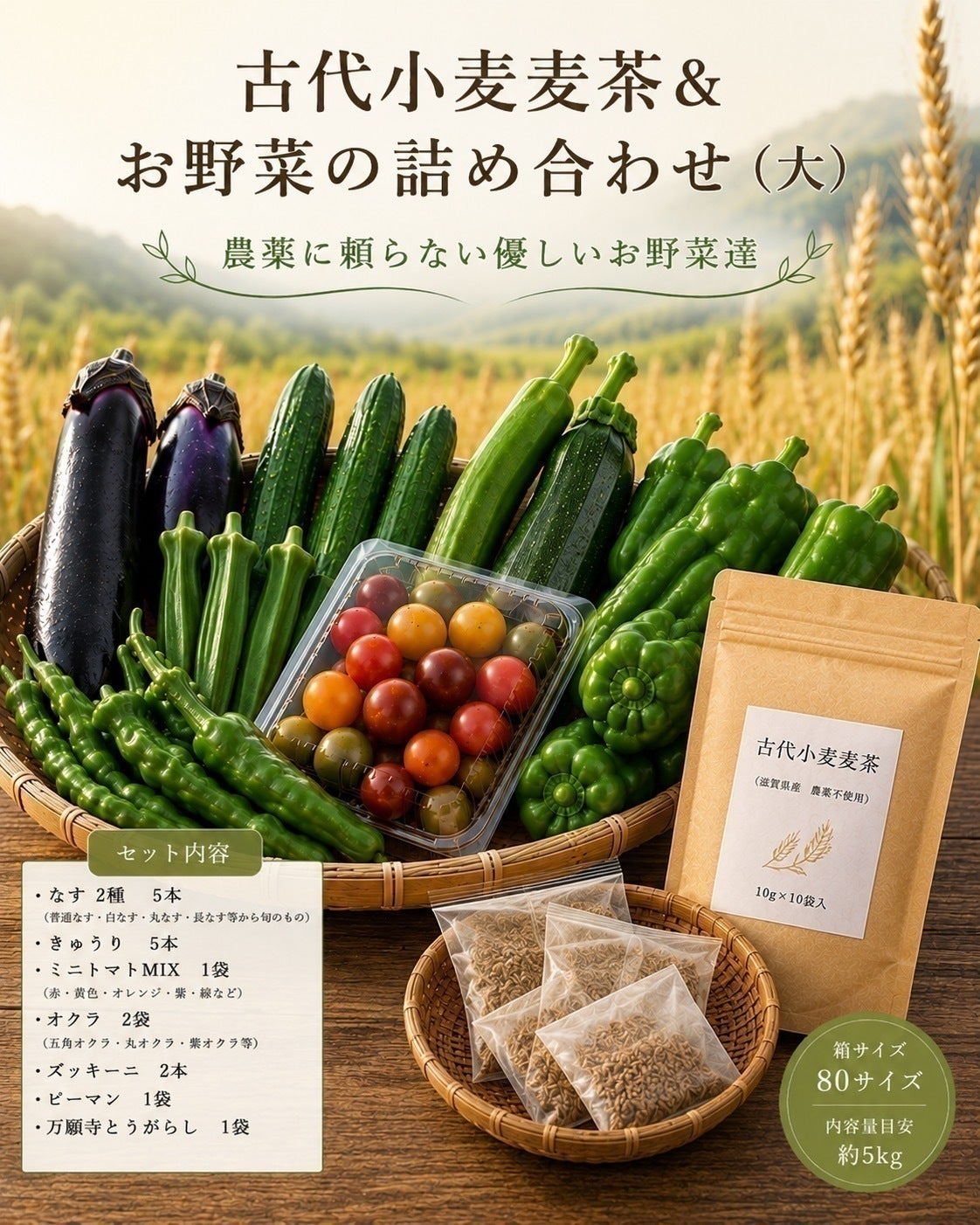 リターン画像