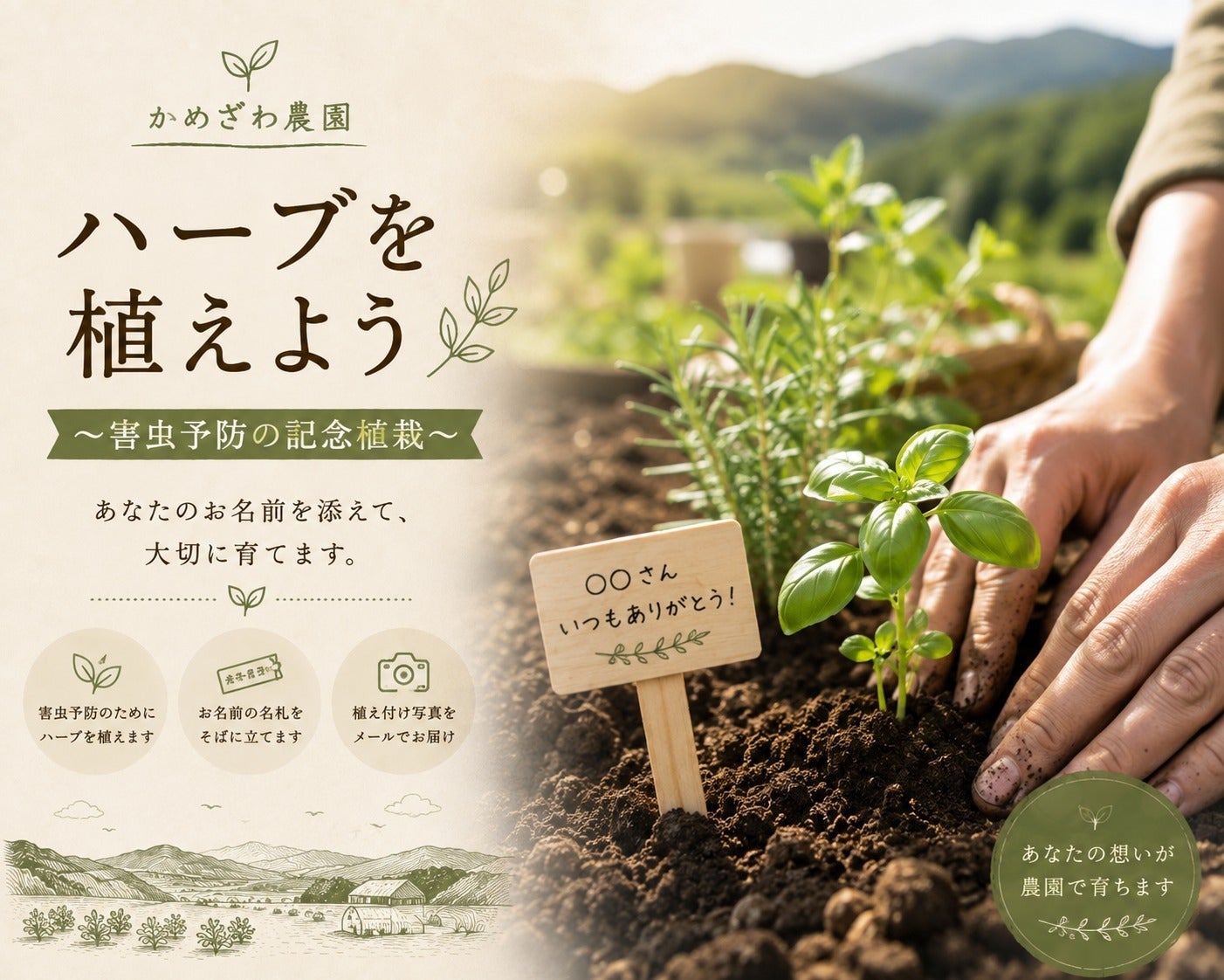 リターン画像
