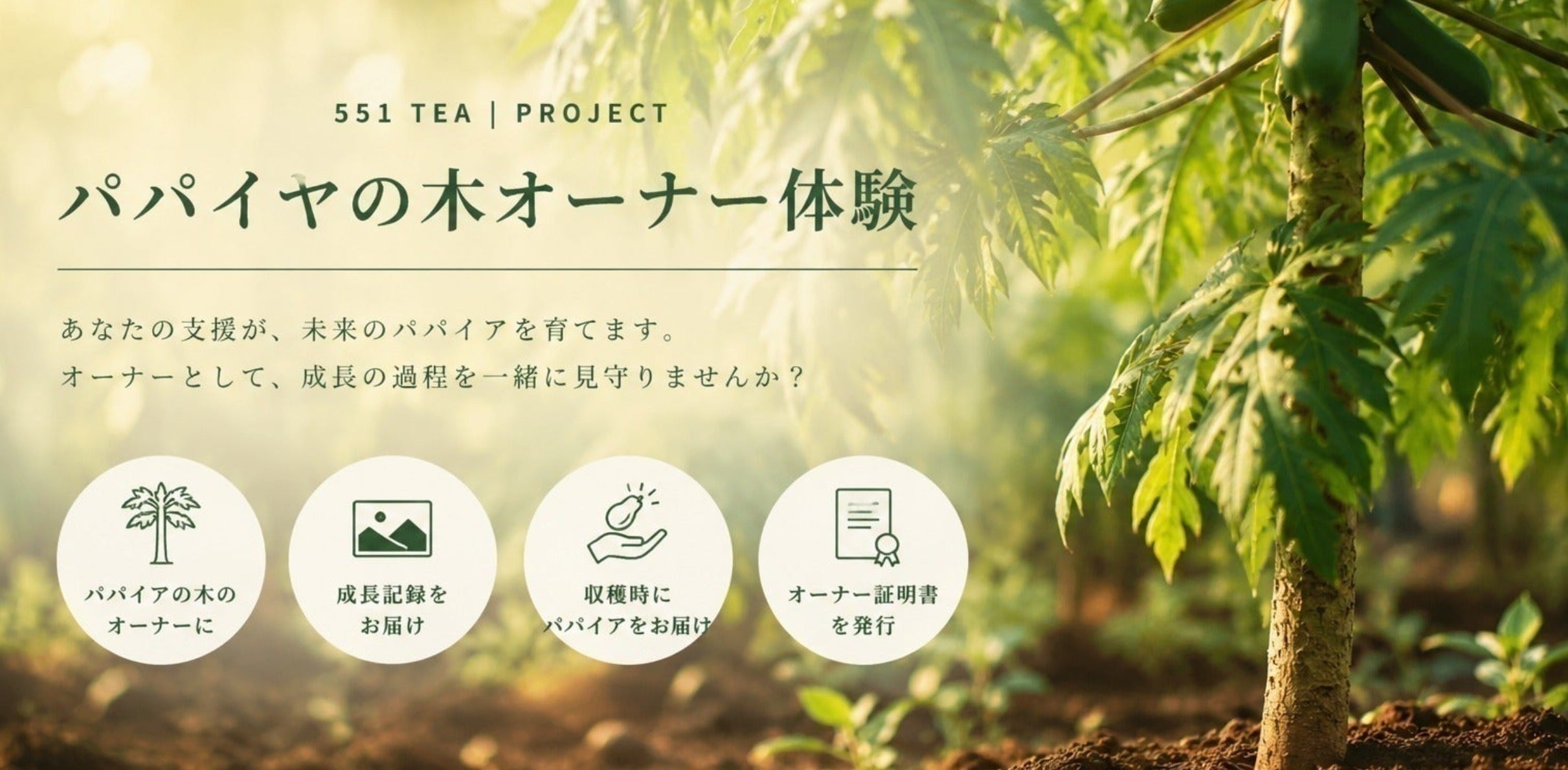 リターン画像