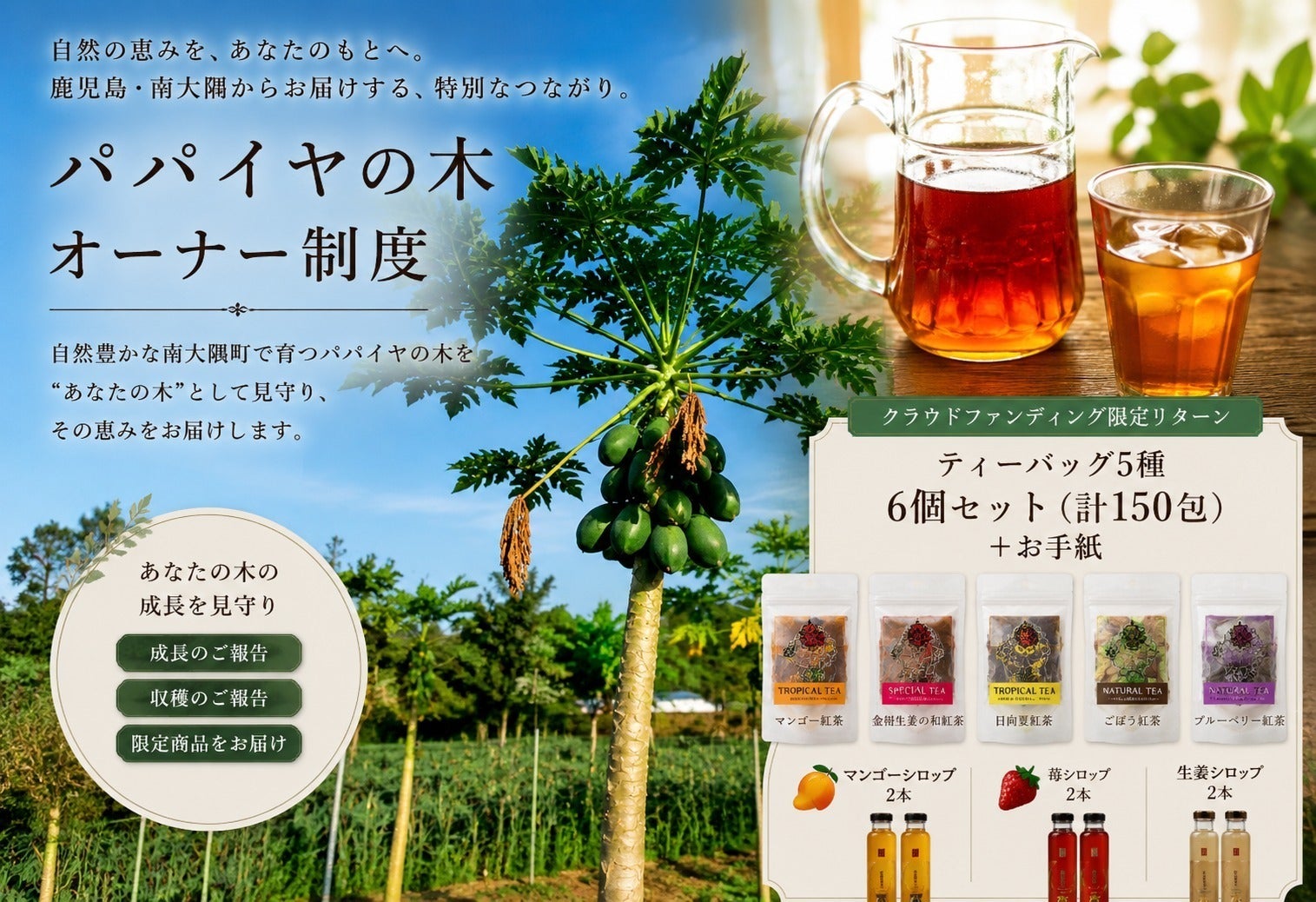 リターン画像