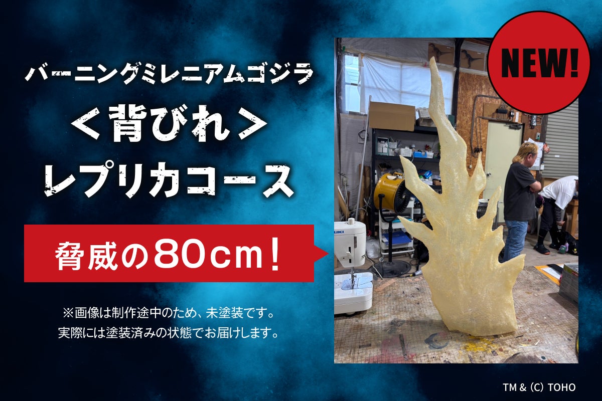 リターン画像
