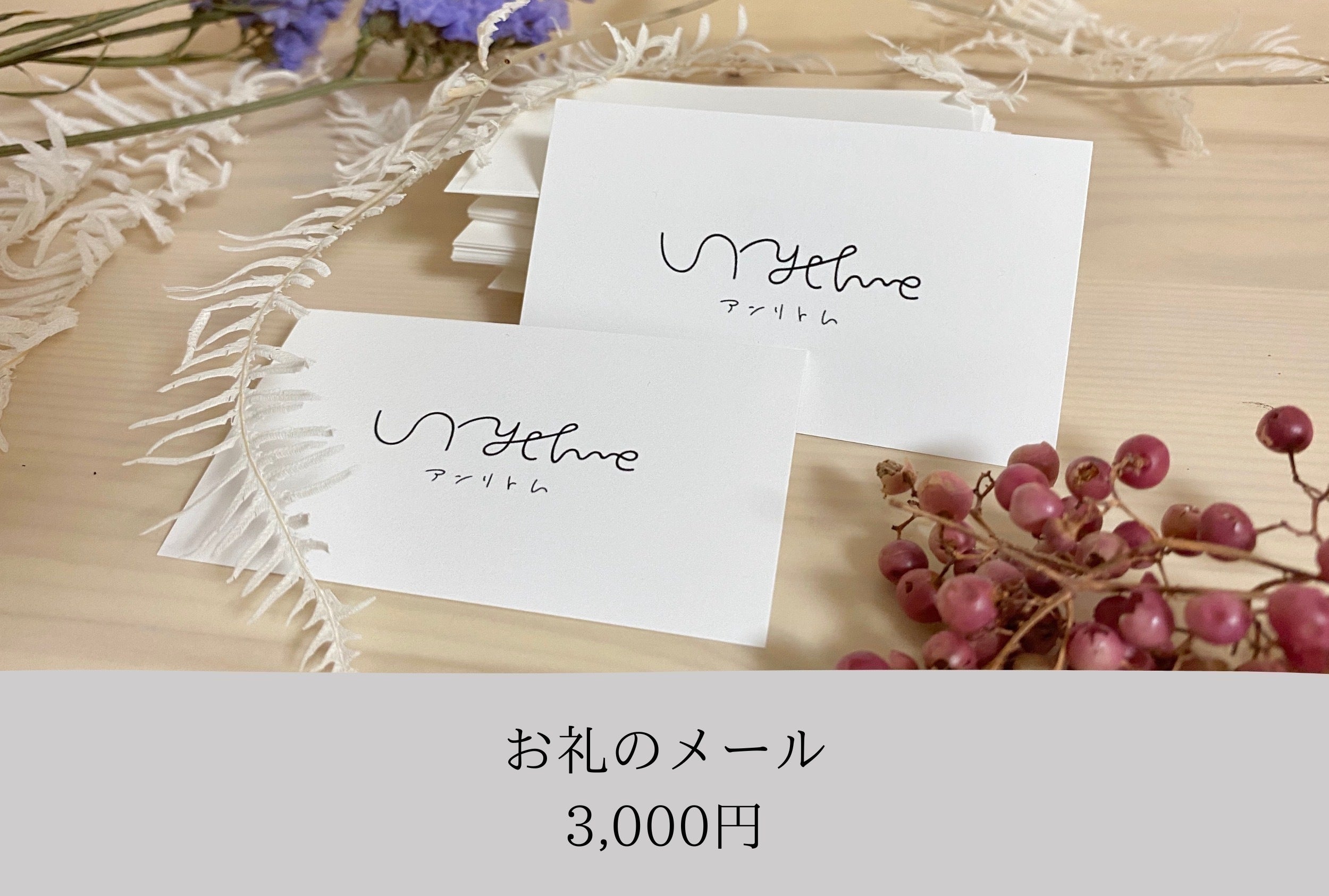 リターン画像