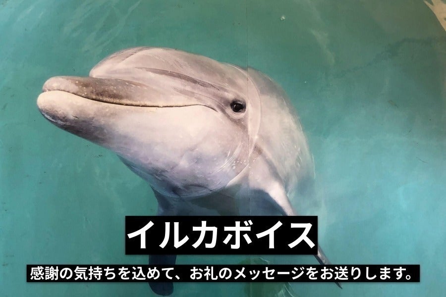 リターン画像