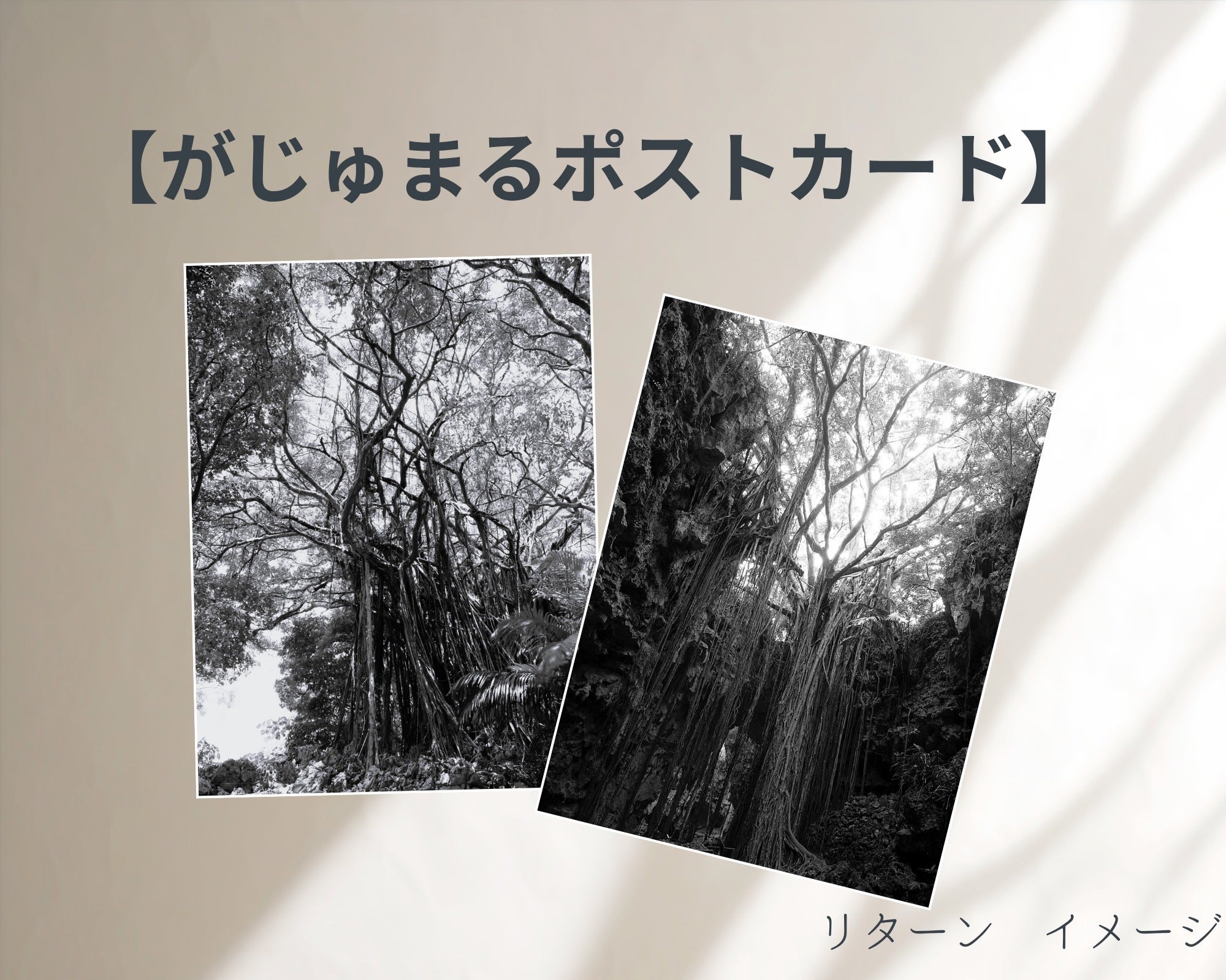 リターン画像