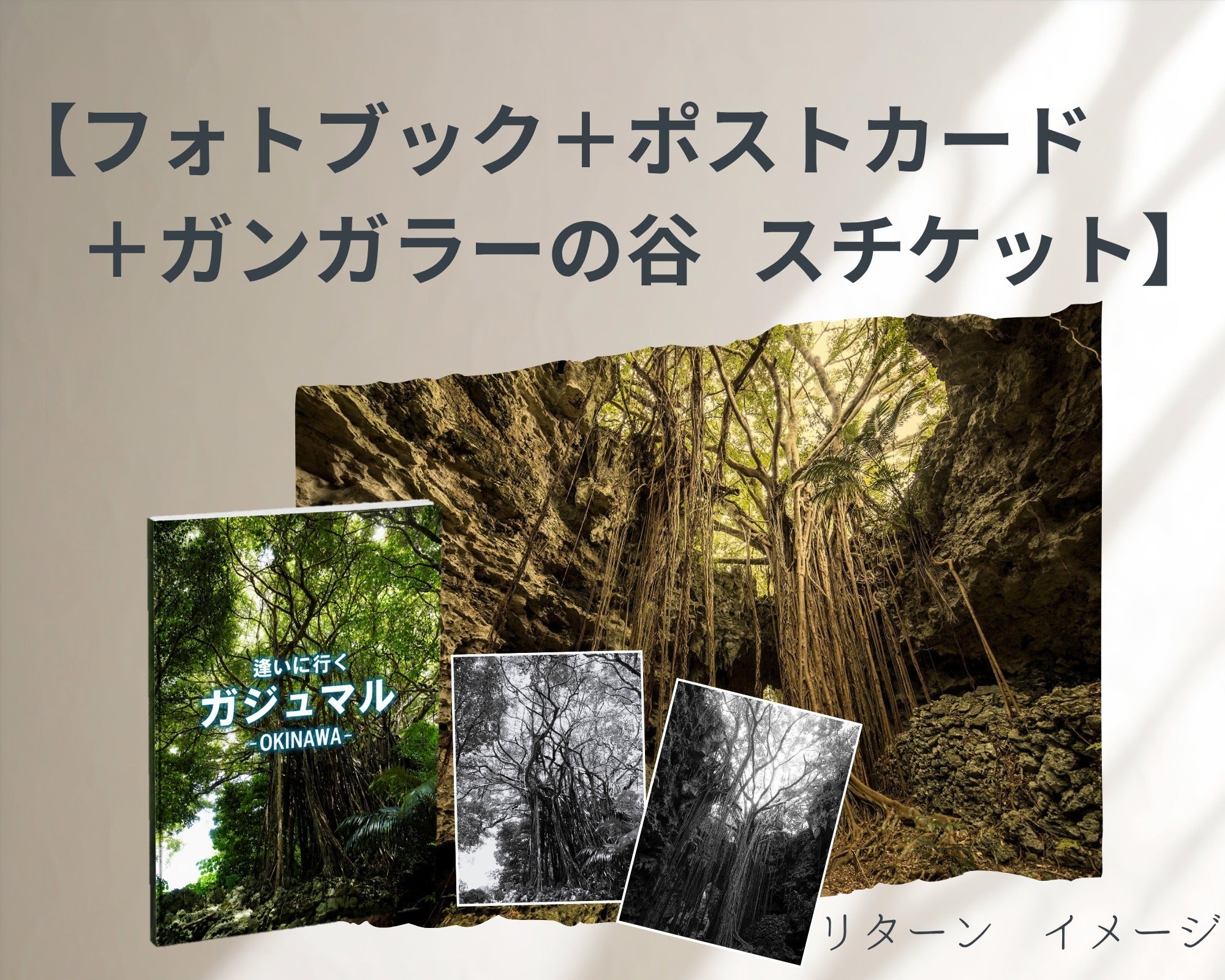 リターン画像