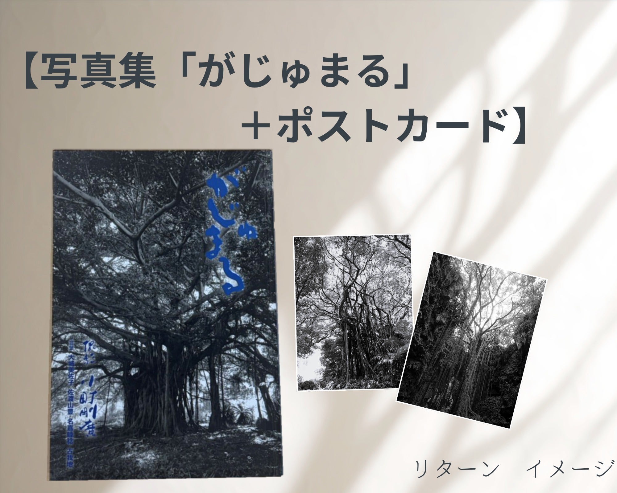リターン画像