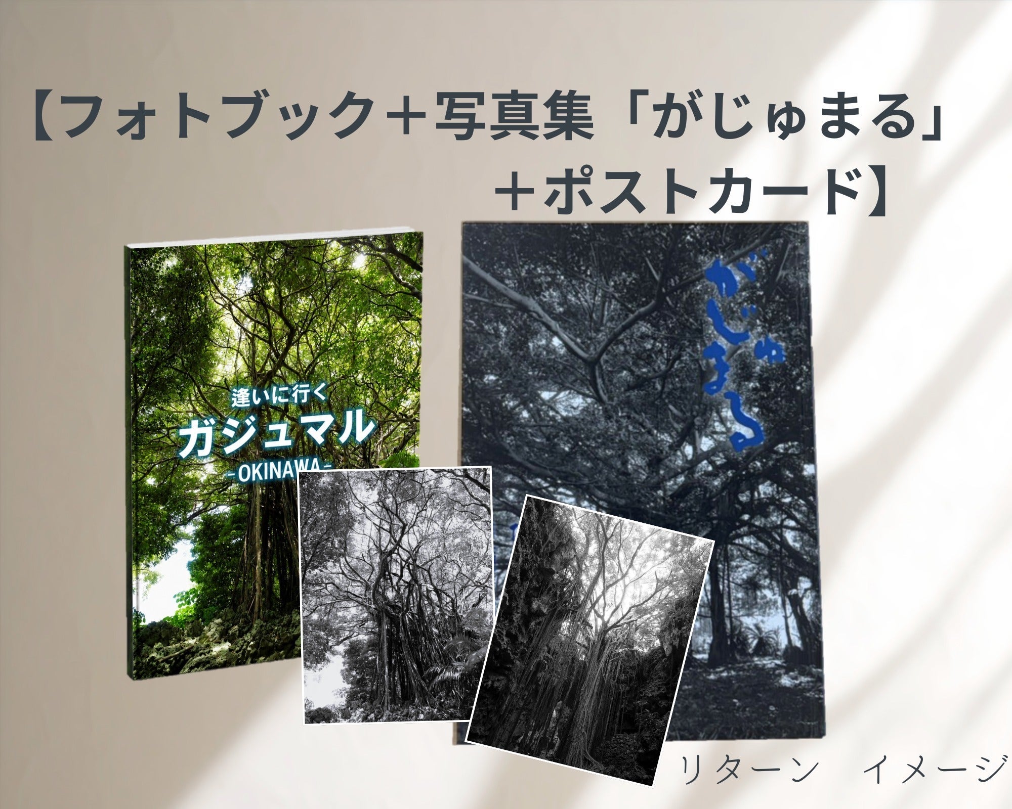 リターン画像