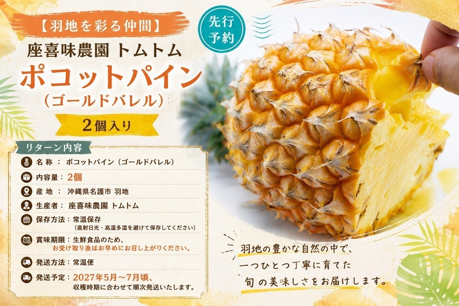 リターン画像