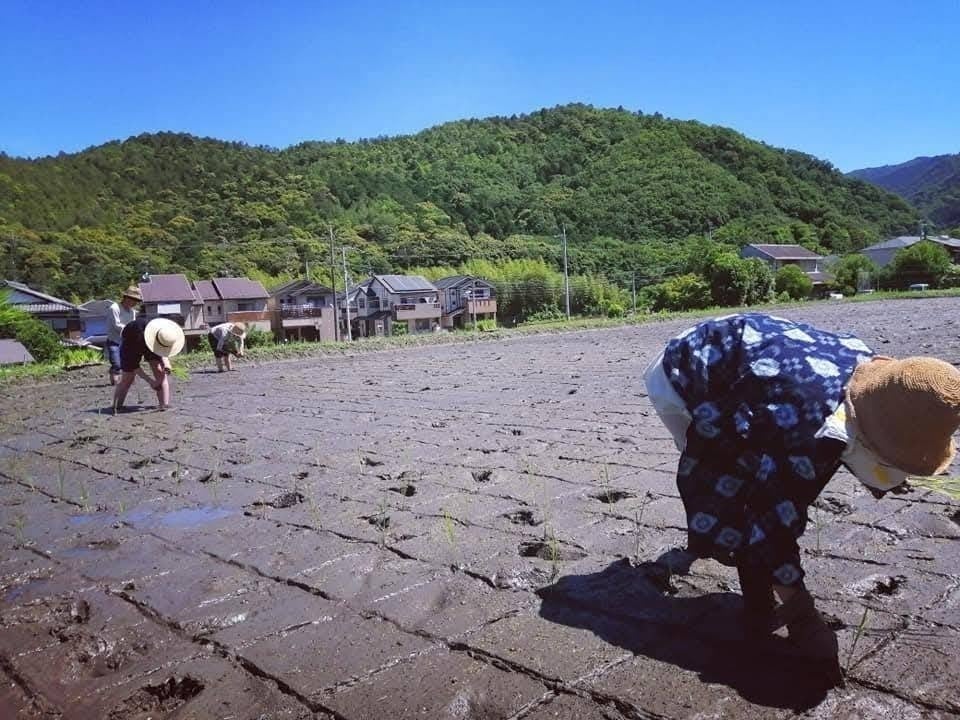 リターン画像
