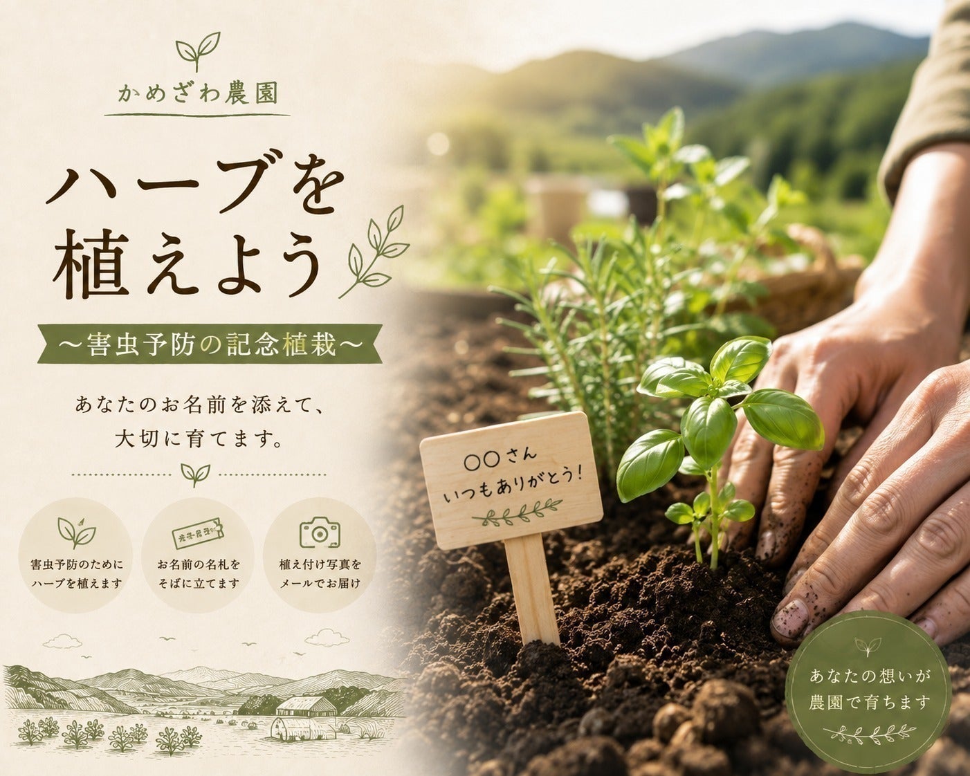 リターン画像