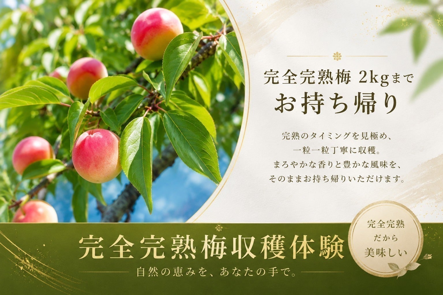 リターン画像