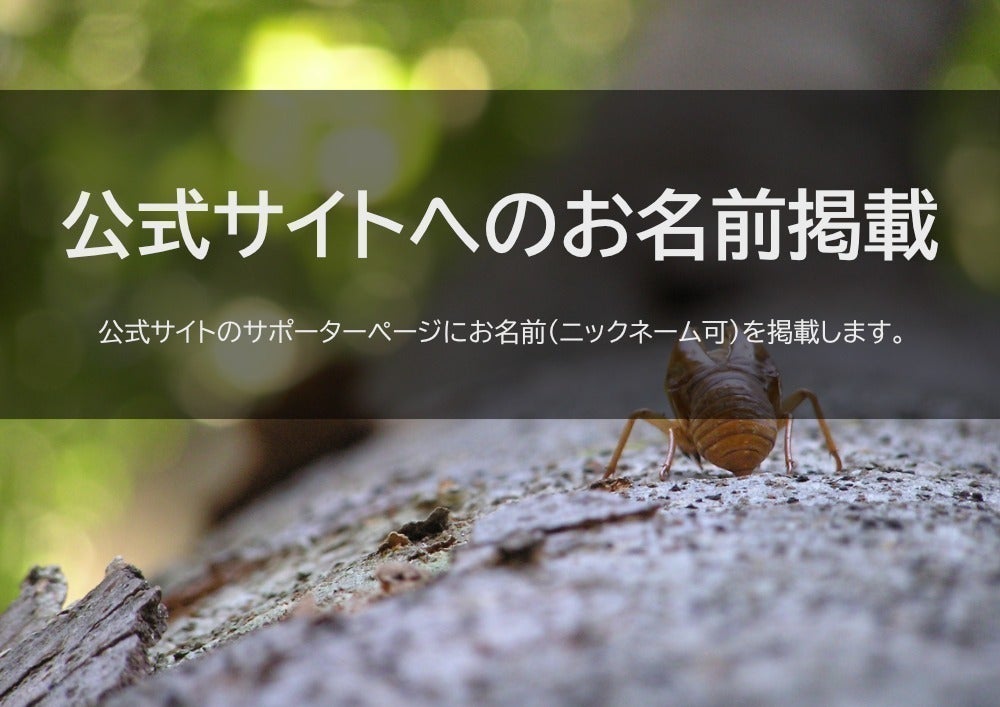 リターン画像