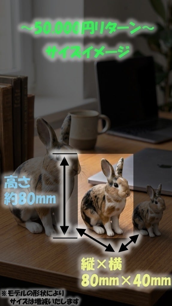 リターン画像