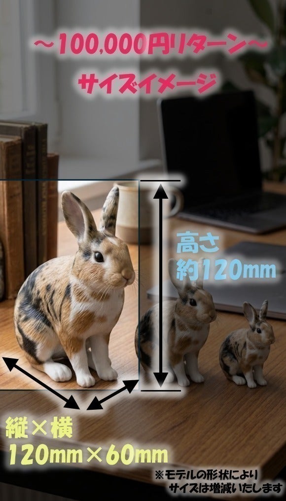 リターン画像