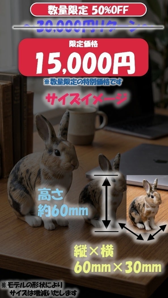 リターン画像