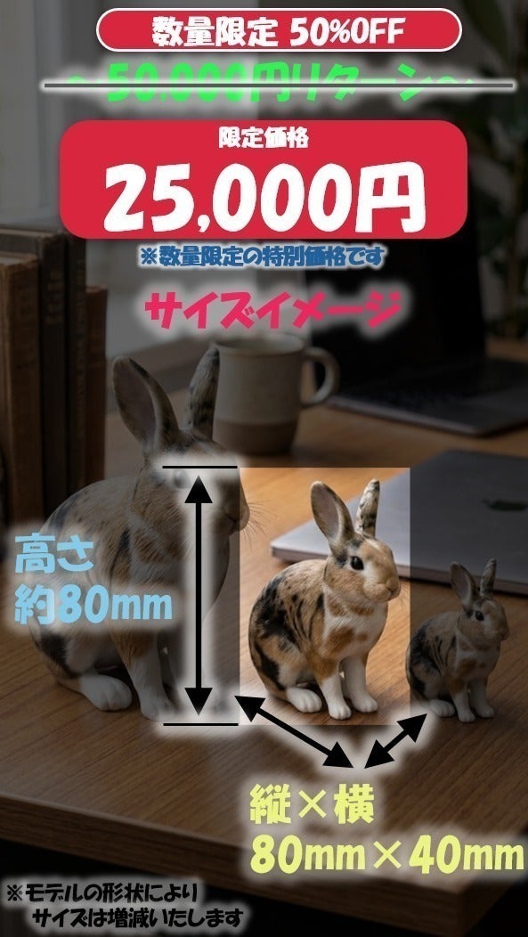 リターン画像