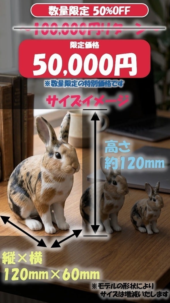 リターン画像