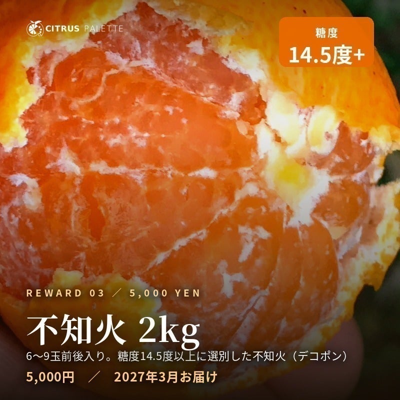 リターン画像