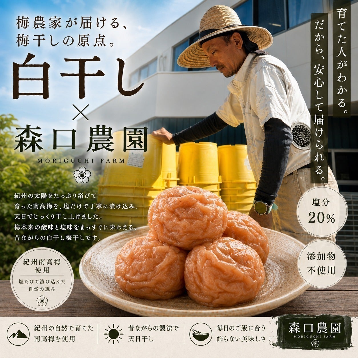 リターン画像