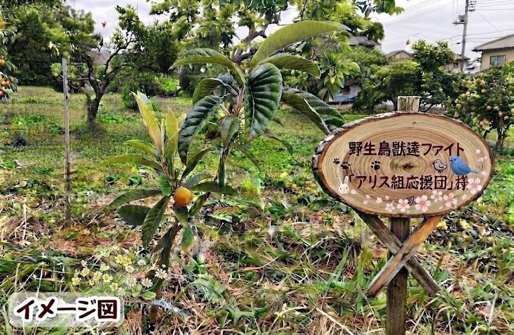 リターン画像