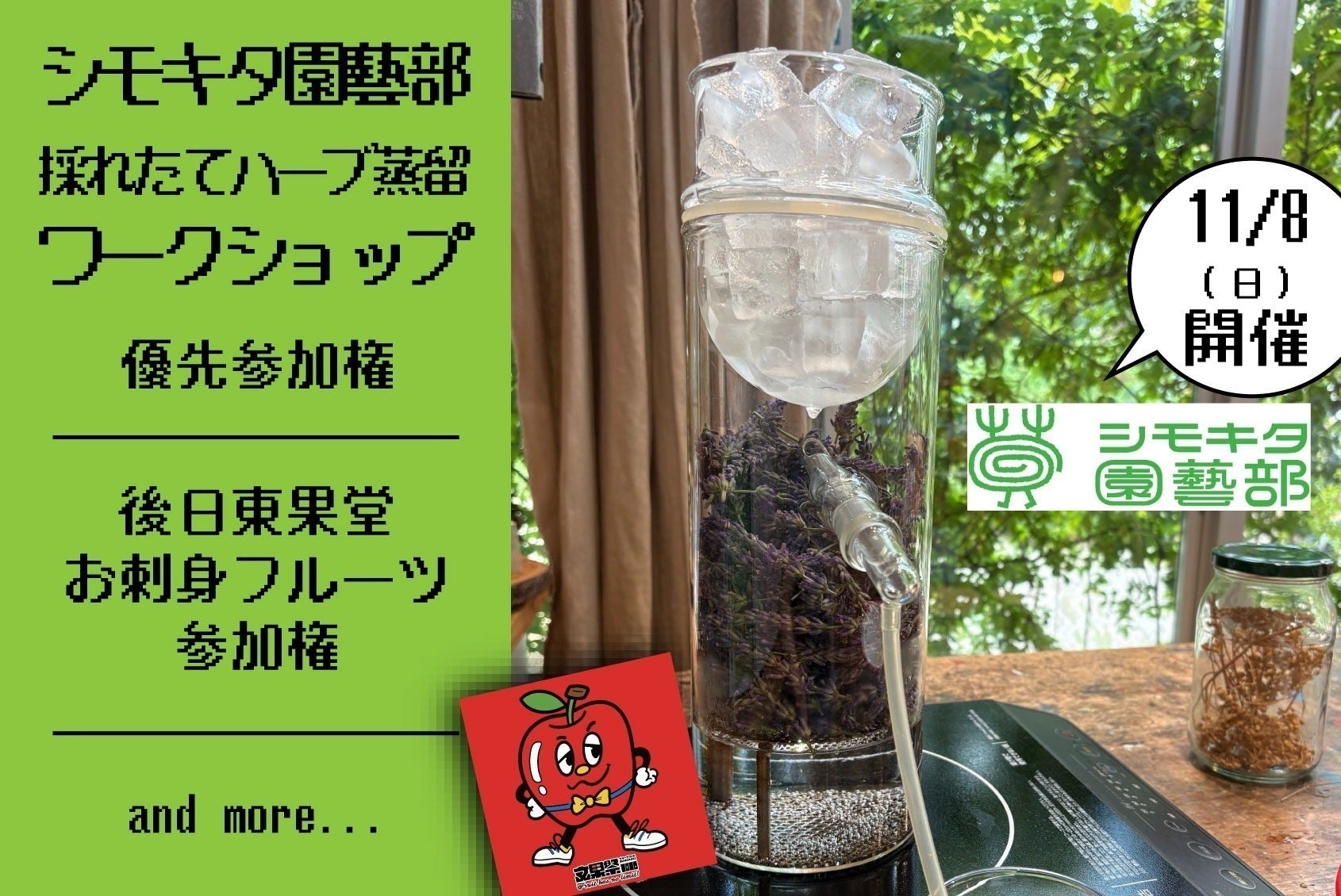 リターン画像