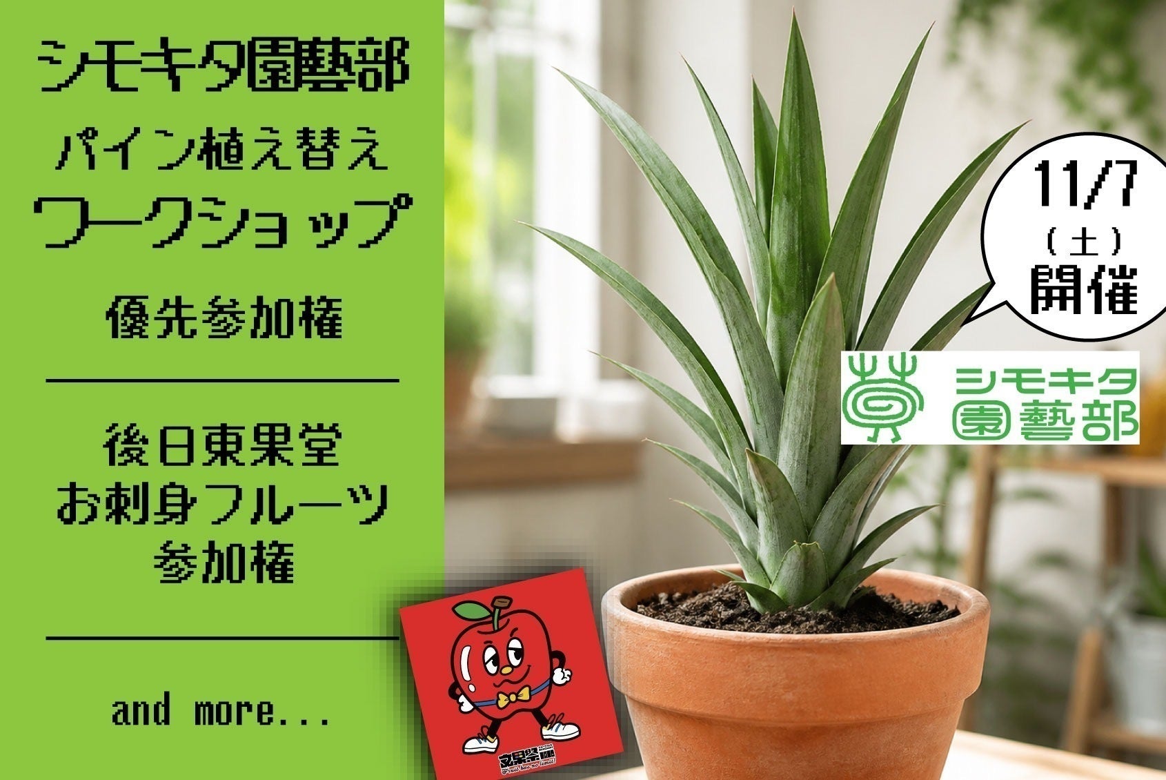 リターン画像