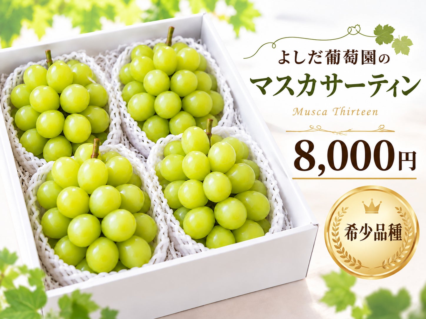 リターン画像