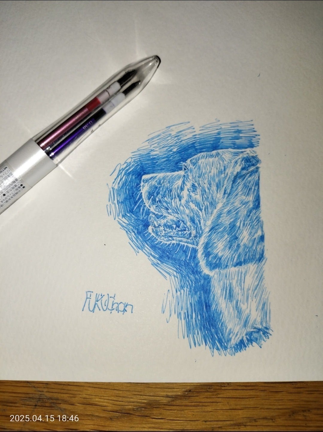 リターン画像