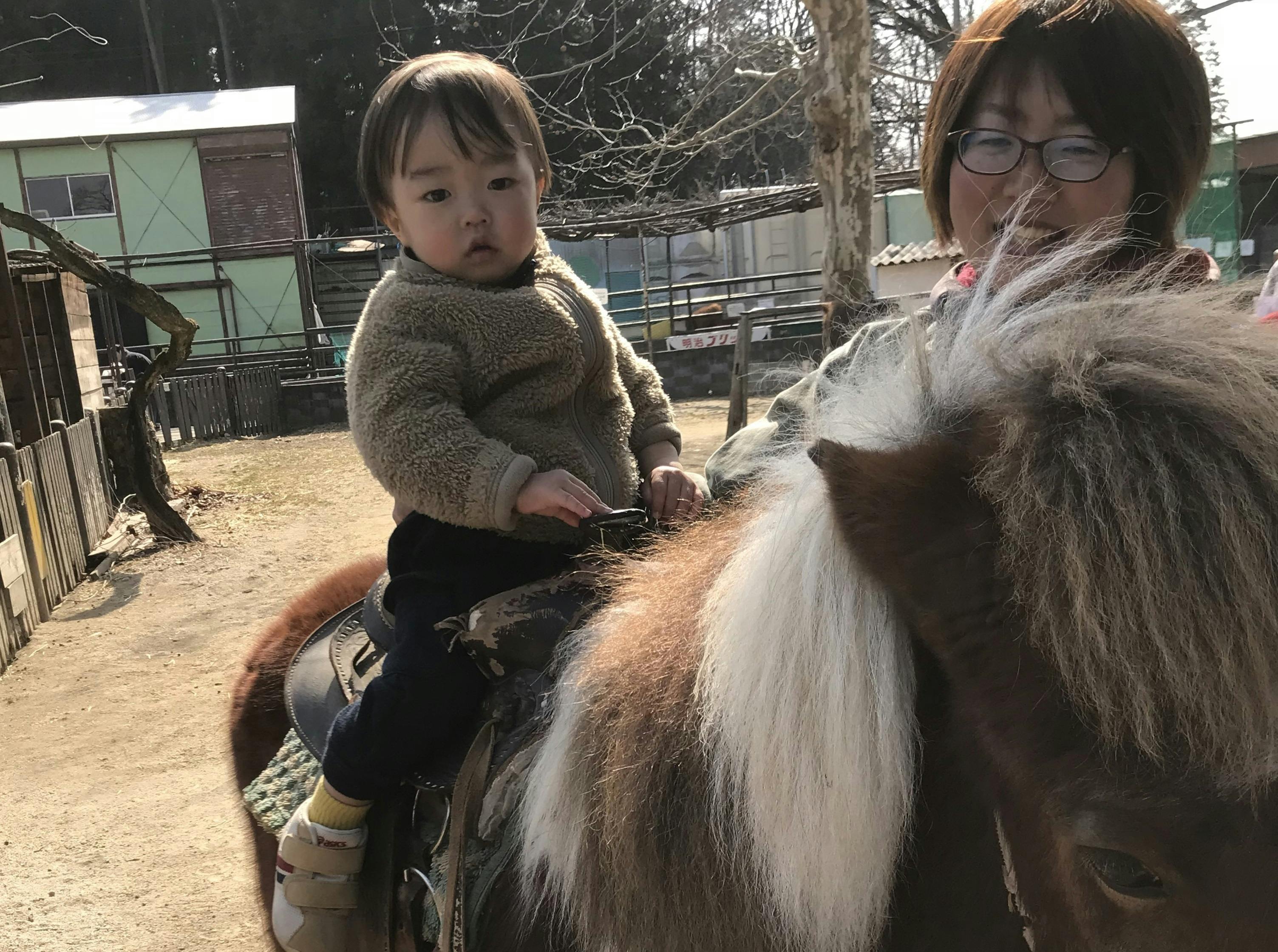 佐島牧場の佐島さまに ポニーの飼い方 選び方 準備することなどについて伺ってきました Campfire キャンプファイヤー