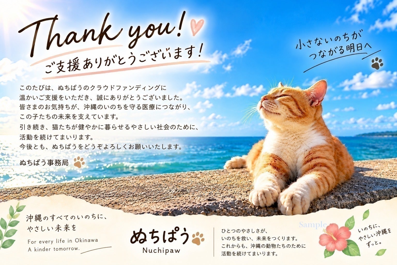 リターン画像