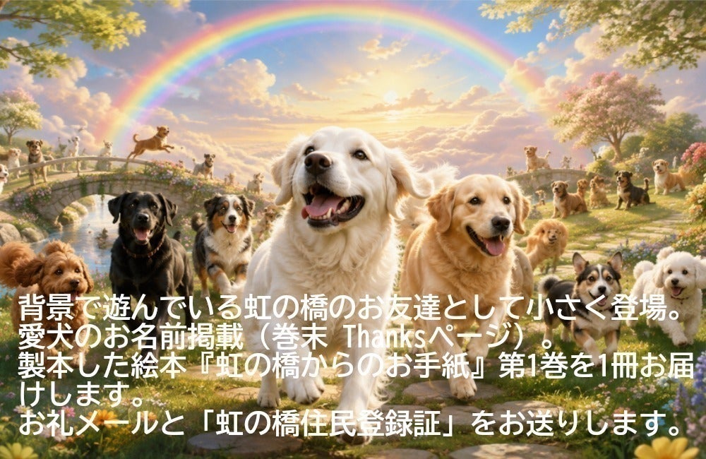 リターン画像
