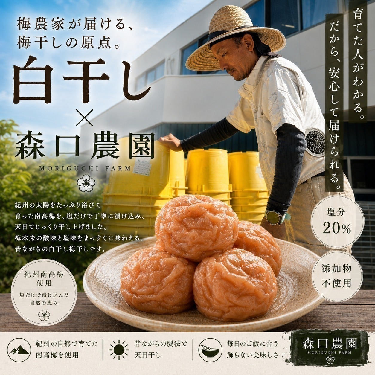 リターン画像