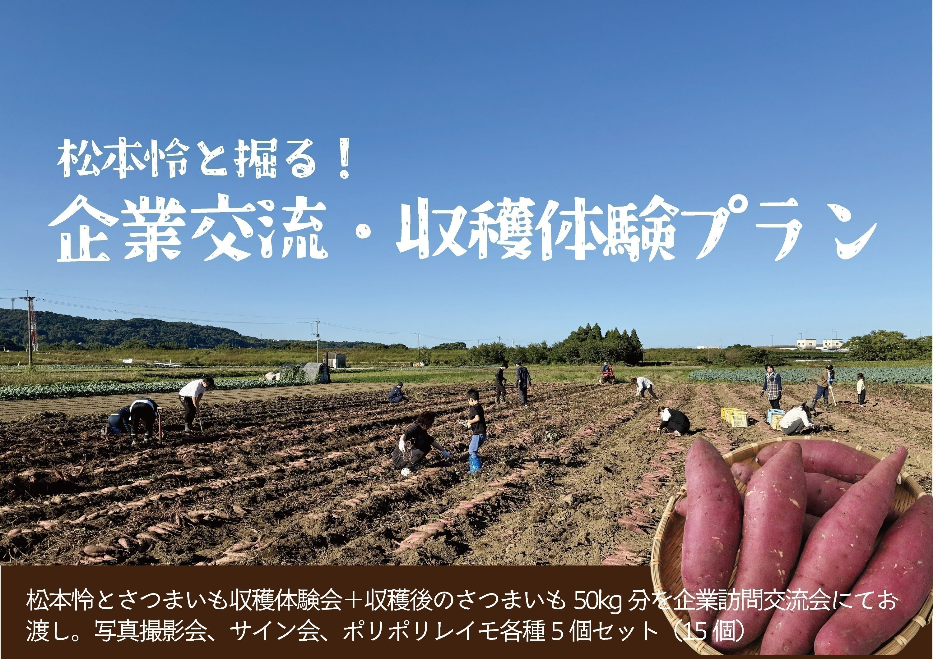 リターン画像