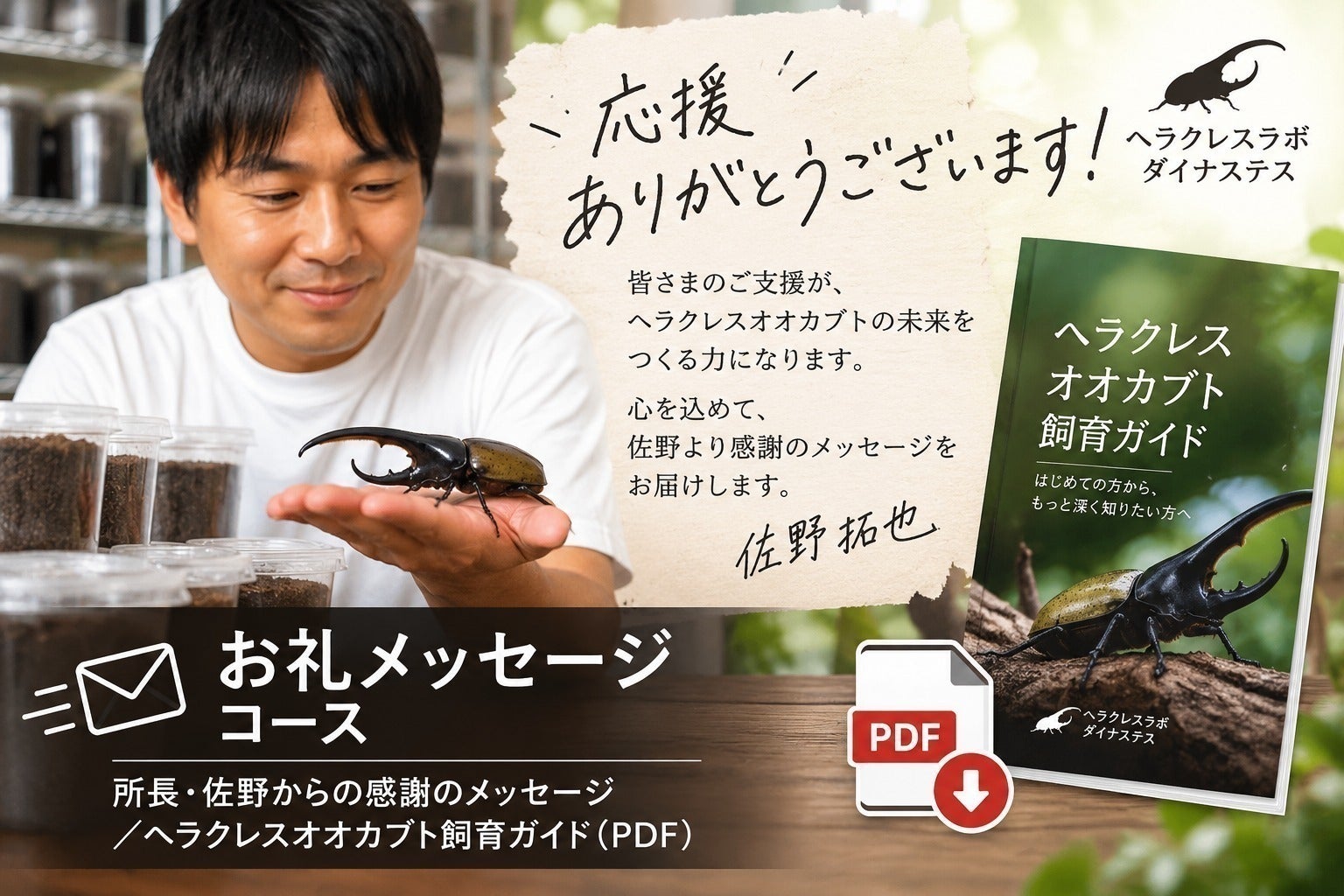 リターン画像