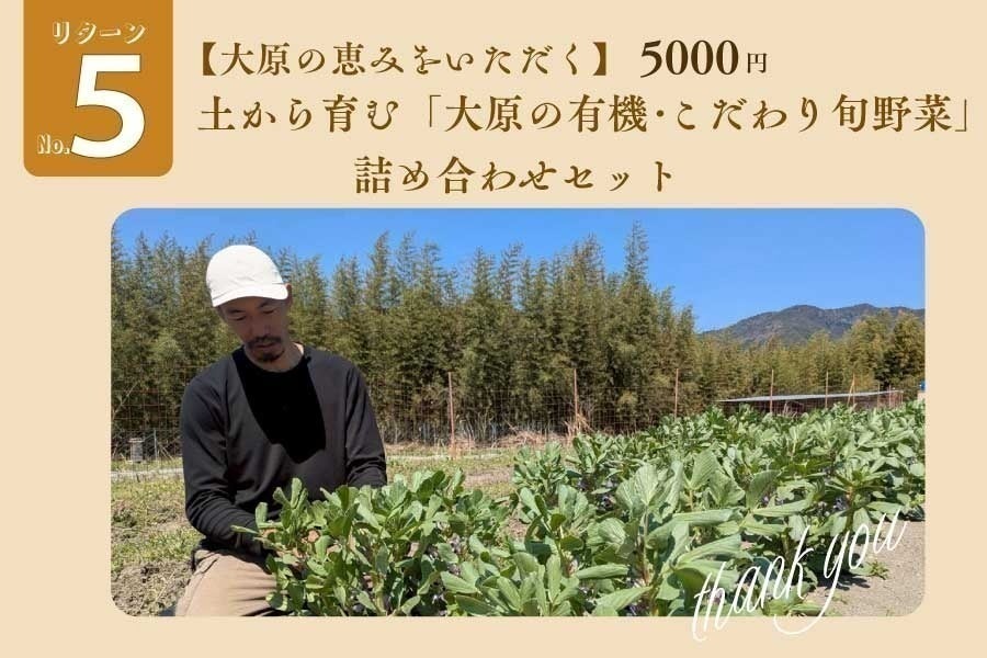 リターン画像