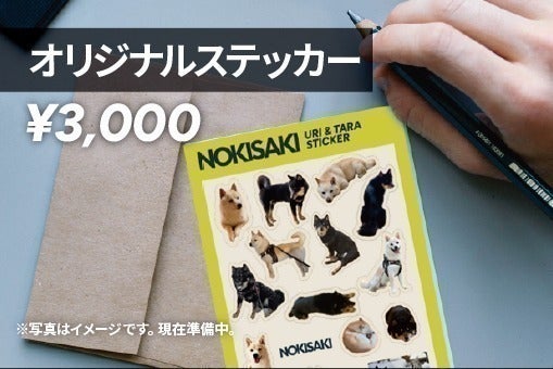 リターン画像