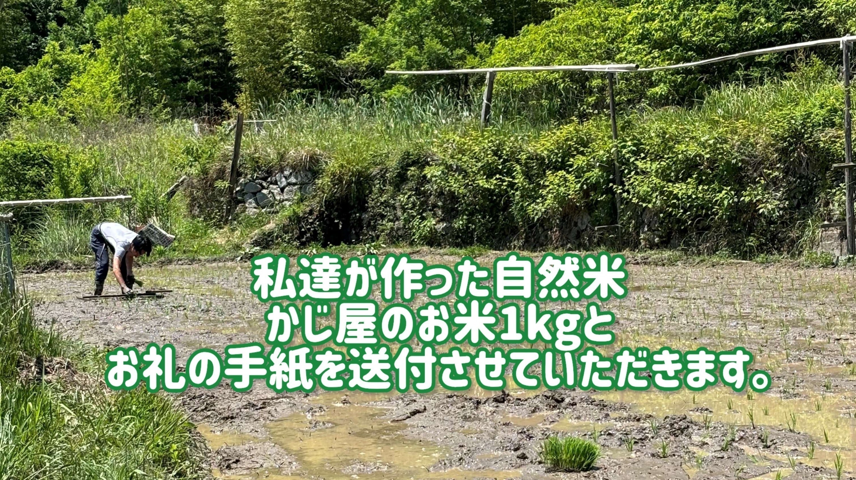 リターン画像