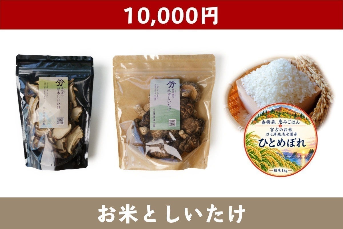 リターン画像