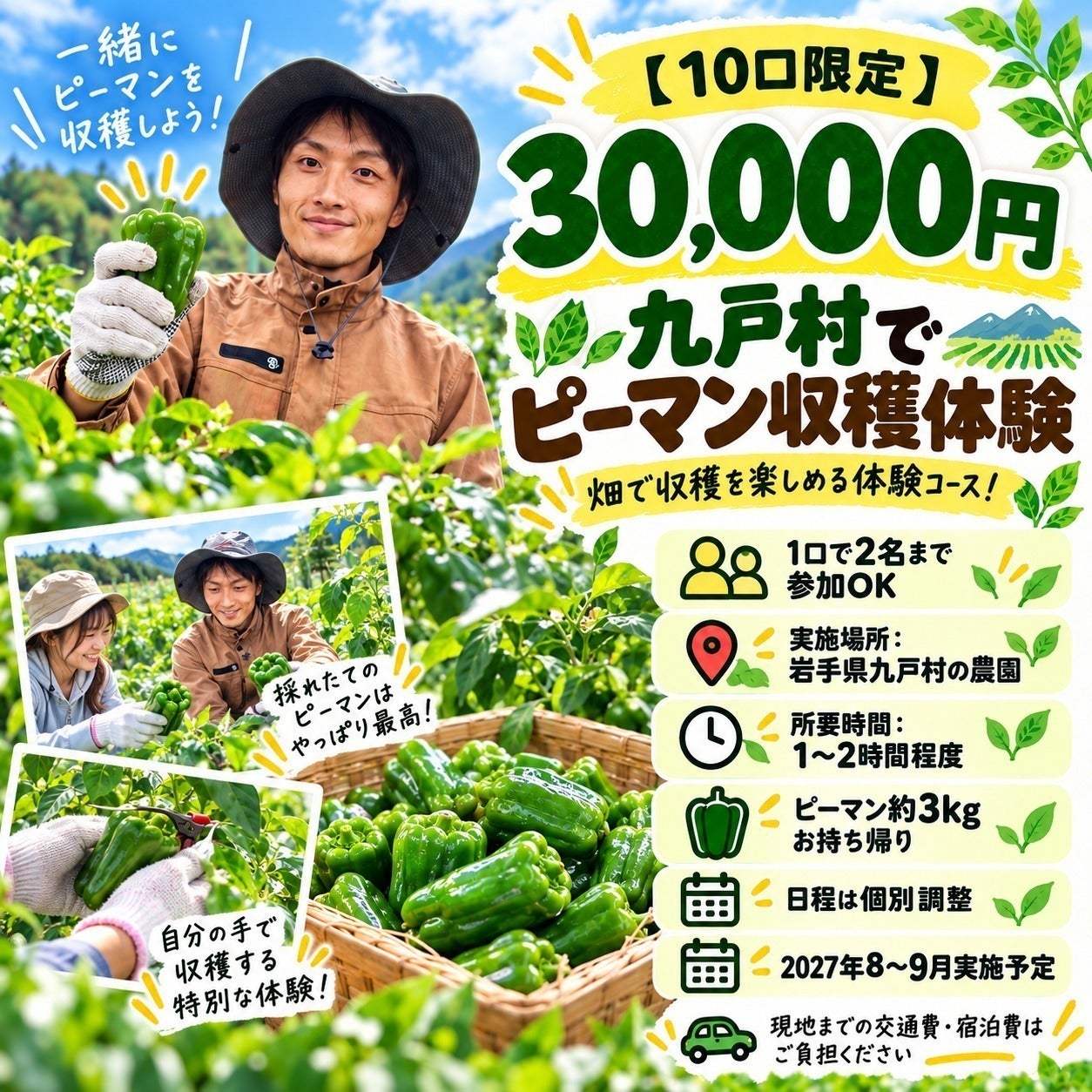 リターン画像