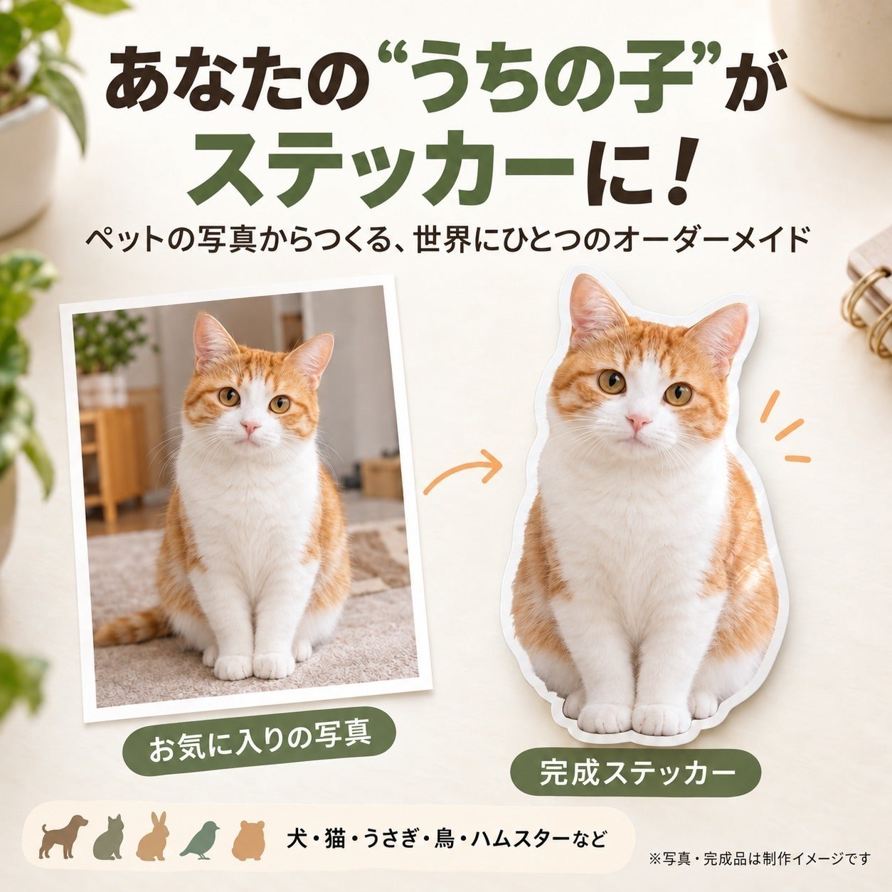 リターン画像