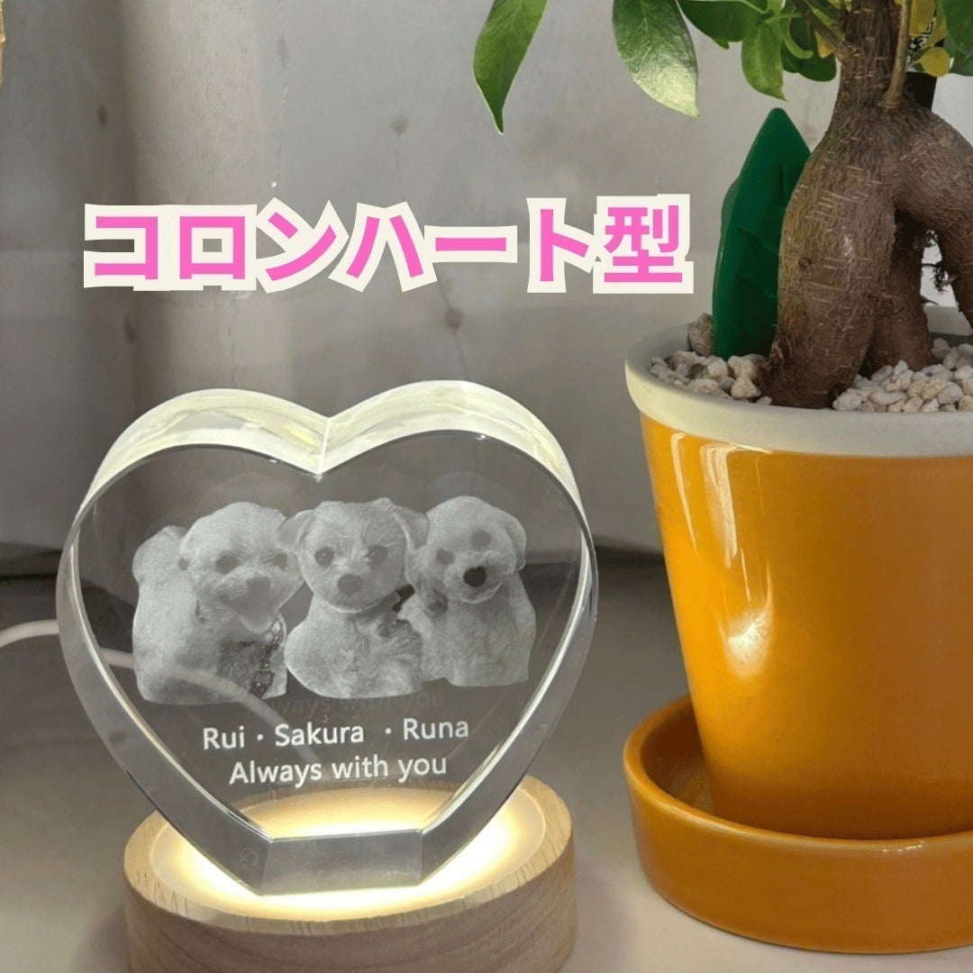リターン画像