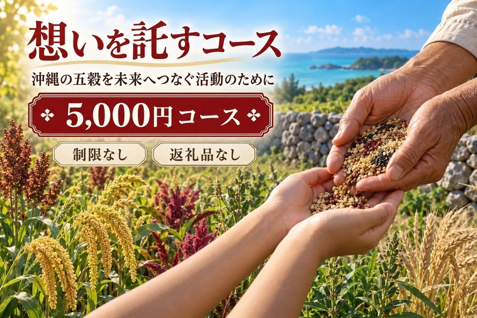リターン画像