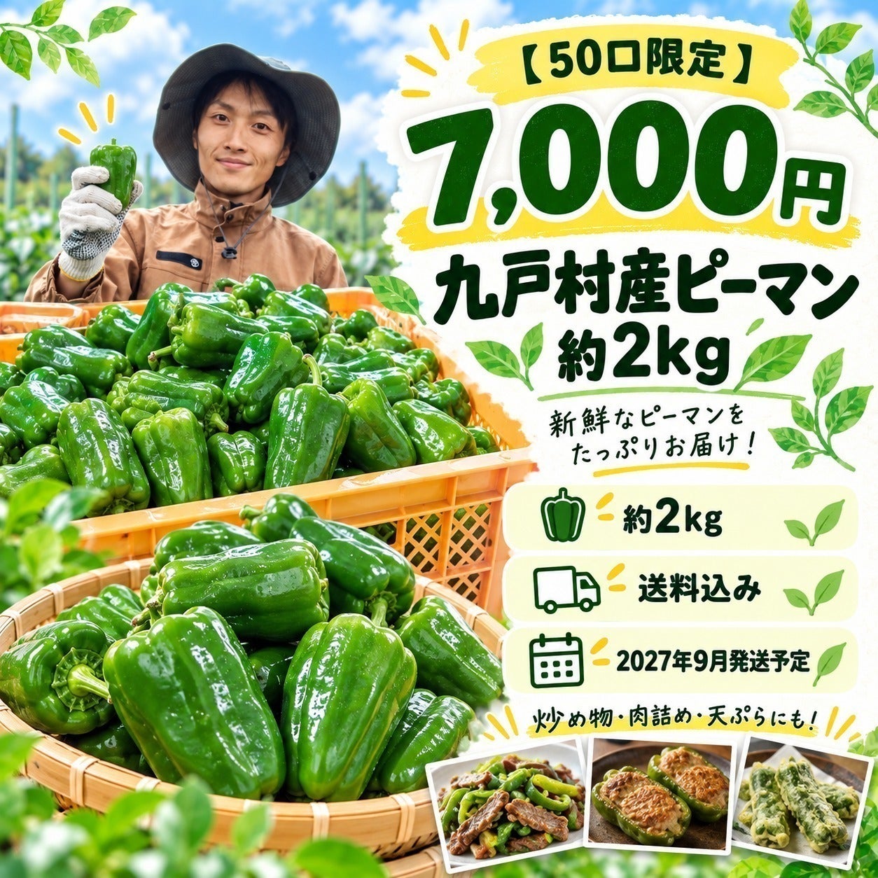 リターン画像