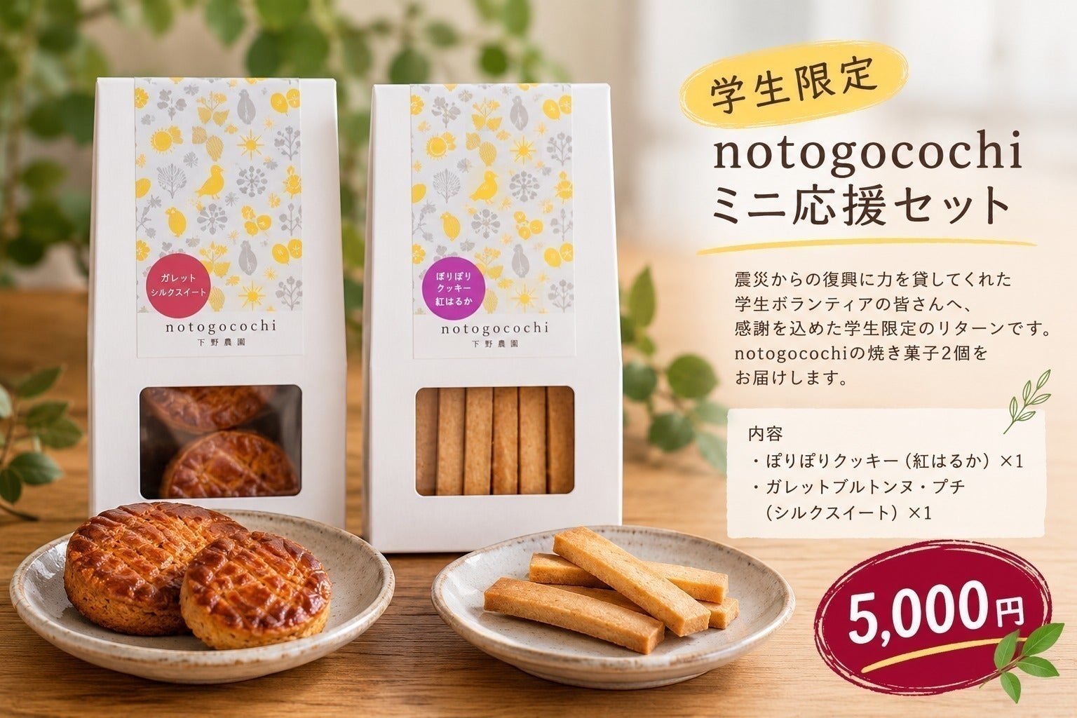 リターン画像
