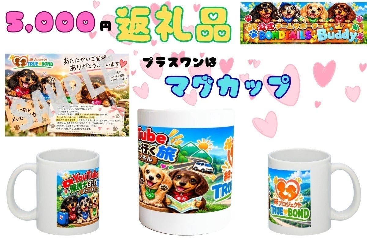 リターン画像